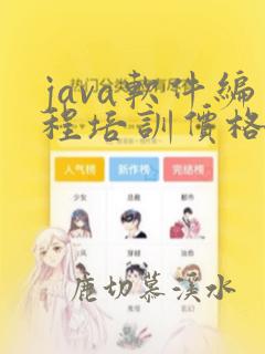 java软件编程培训价格