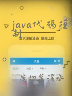 java代码复制