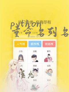 python 重命名列名