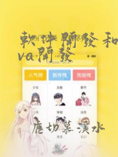 软件开发和java开发