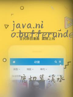 java.nio.bufferunderflowexception
