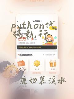 python代码执行