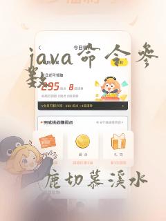 java命令参数