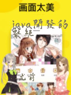 java开发的系统