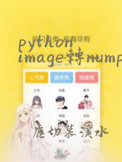 python image转numpy