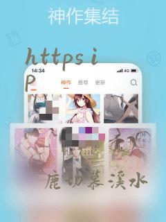 https ip