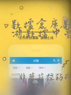 数据仓库,数据湖,数据中台