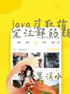 java获取指定注解的类