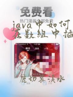 java中如何在数组中插一个数