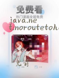 java.net.noroutetohost