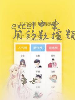 excel中常用的数据类型