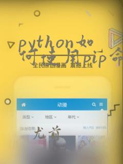 python如何使用pip命令