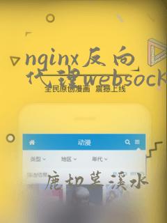nginx反向代理websocket