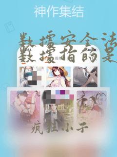 数据安全法中的数据指的是