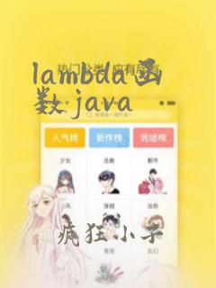 lambda函数java