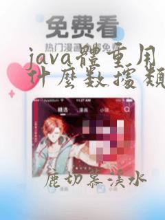 java体重用什么数据类型