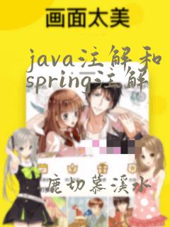 java注解和spring注解