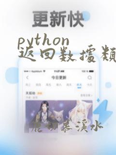 python 返回数据类型