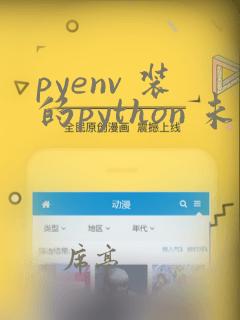 pyenv 装的python 未找到