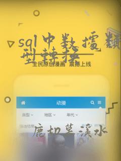 sql中数据类型转换