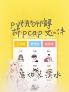 python解析pcap文件
