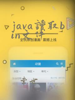 java读取bin文件