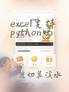 excel支持python吗