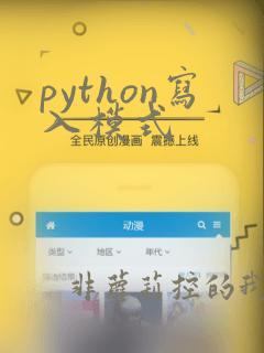 python写入模式