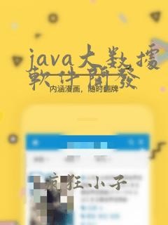 java大数据软件开发