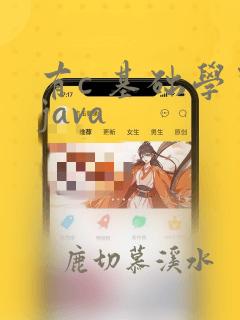 有c 基础学习java
