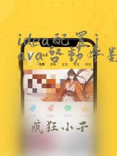 idea配置java启动参数