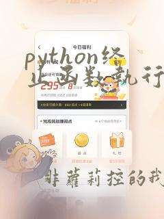 python终止函数执行