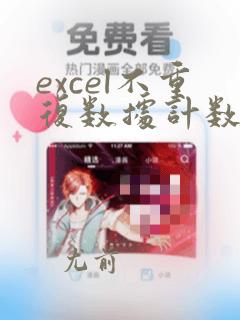 excel不重复数据计数
