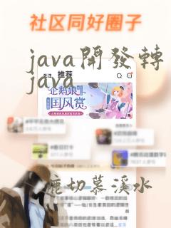 java开发转java