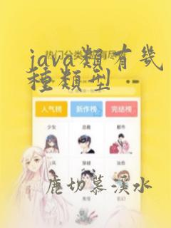 java类有几种类型