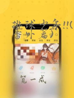 排球少年!!(番外篇)