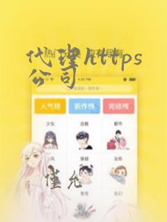 代理https公司