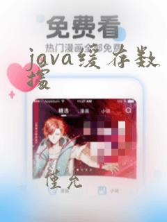 java缓存数据