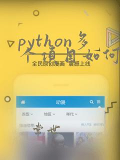 python多个项目如何共用代码