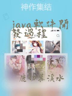 java软件开发过程