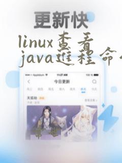 linux查看java进程命令