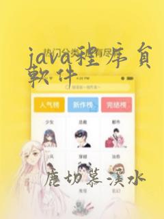 java程序员软件