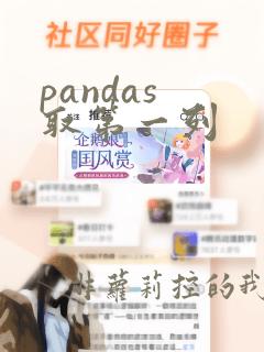 pandas 取第一列