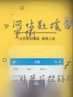 网站数据分析的实例