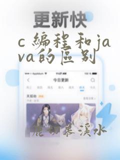 c 编程和java的区别