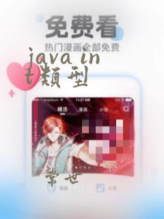 java int类型