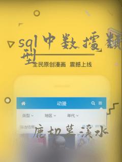 sql中数据类型