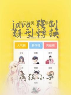 java 强制类型转换