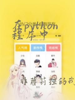 在python程序中