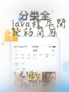 java程序开发的简历